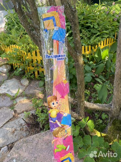 Воздушный змей