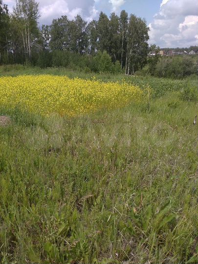 Участок 20,4 сот. (ИЖС)