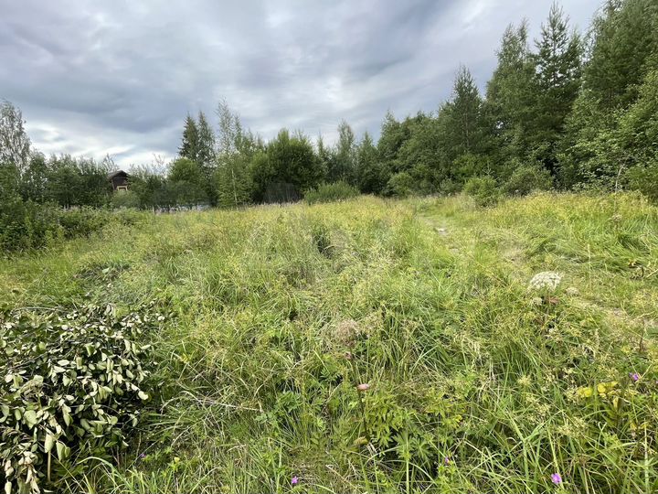 Участок 10 сот. (СНТ, ДНП)