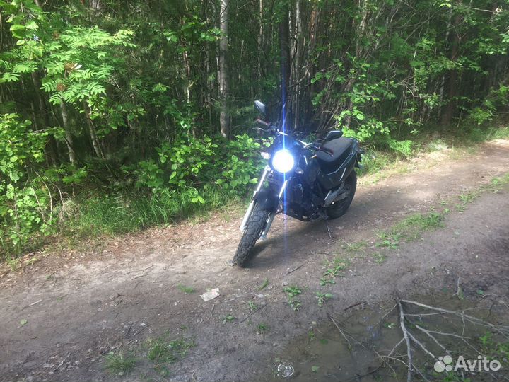 Стелс XY400GY