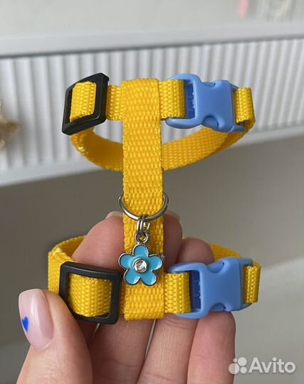 Шлейка и поводок для хорька норки