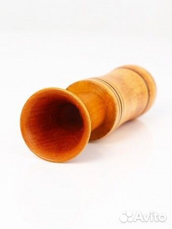 Манок на гуся, Эхоманъ №5, серия 