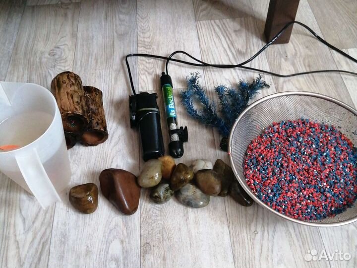 Аквариумные рыбки