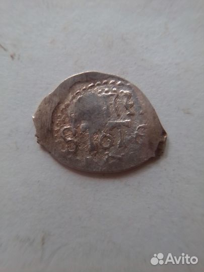 Редкая чешуйка