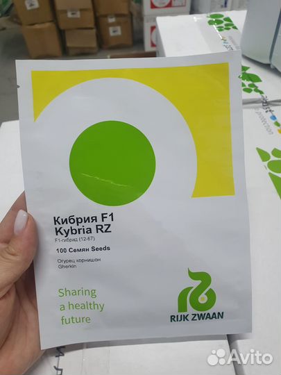 Семена Огурец Кибрия 100с Рийк Цваан