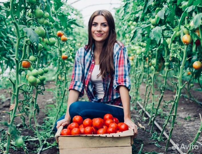 Вахта Тула с жильем от 25 смен Фасовщики в теплицу