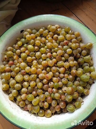 Ягода крыжовника