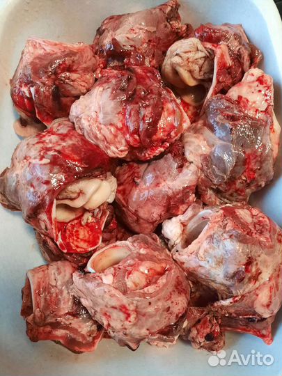 Говядина/курица на корм собакам/кошкам