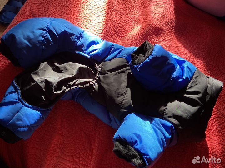 Комбинезон для средней собаки