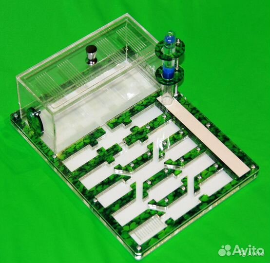 Муравьиная ферма