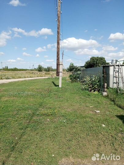 Покос травы триммером