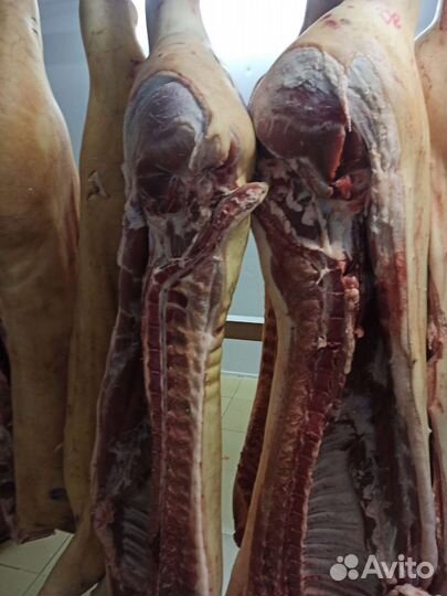 Свиные полутуши