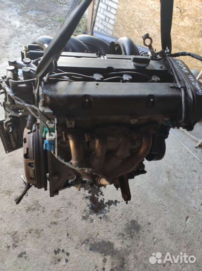 Двигатель Ford Focus 2 2005 hwda