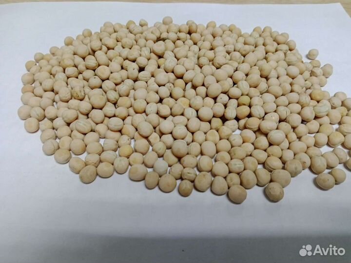 Продажа гороха,пшеницы,ячмень,овес,отруби,пшено