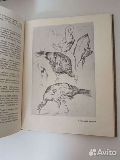 Моё призвание/В. Н. Яковлев