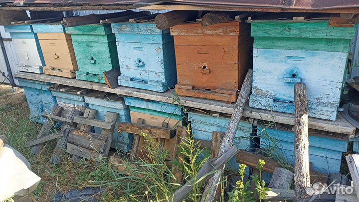 Улей для пчел бу