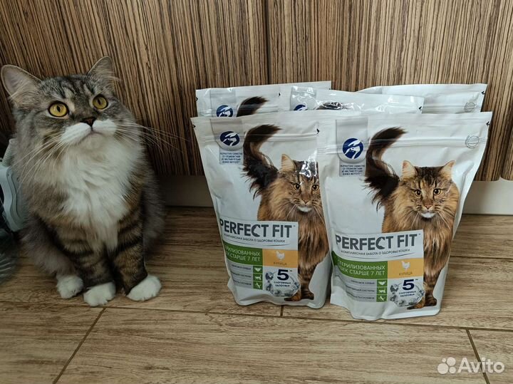 Сухой корм для кошек