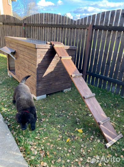 Конура для собаки