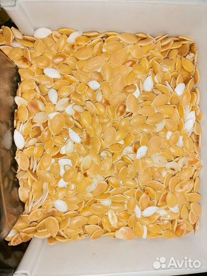 Тыквенные семечки домашние