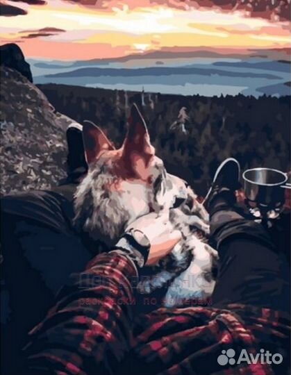 Картина по номерам 40x50 Парень с псом на вершине