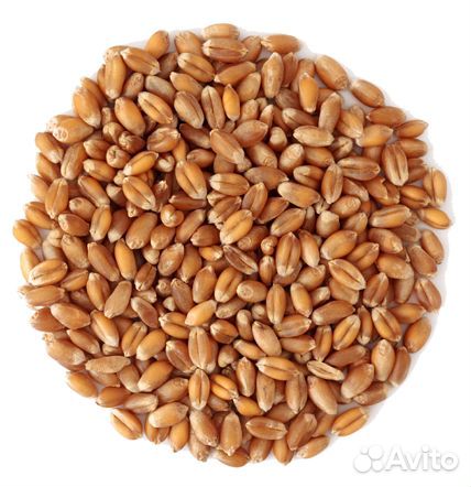 Пшеница в мешках