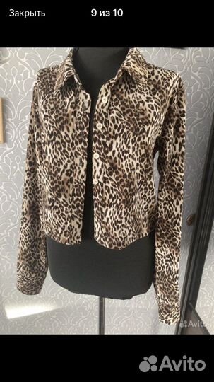 Бренд одежда