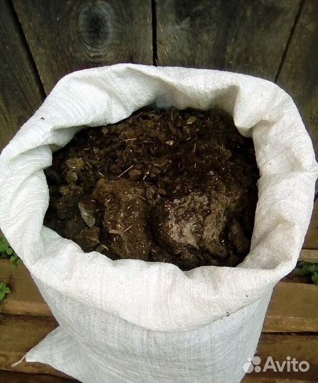 Конский и коровий навоз и перегной. Опилки
