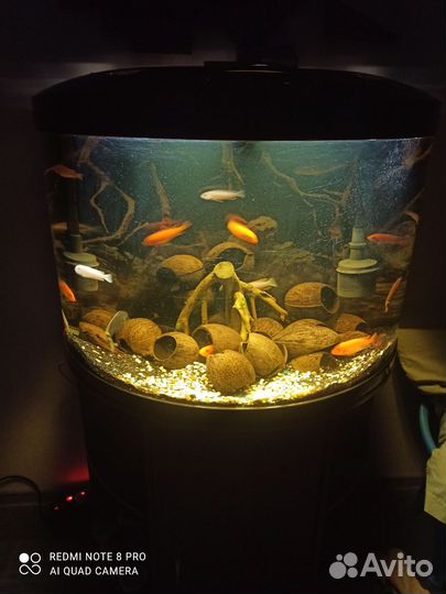 Аквариум. jebo R790