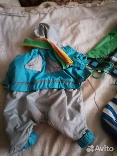 Одежда для маленьких собак xs