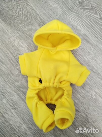 Спортивный костюм для собак