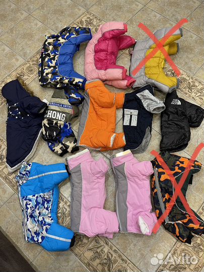 Комбинезон для собак