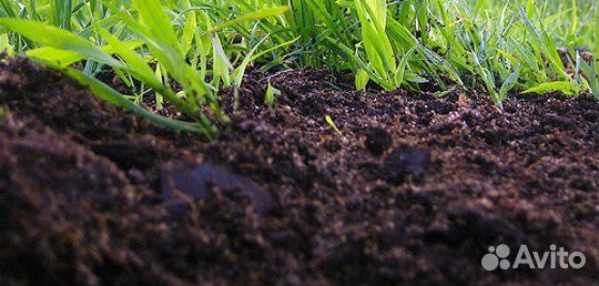 Земля плодородная чернозем с доставкой