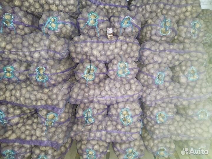 Продам картофель оптом