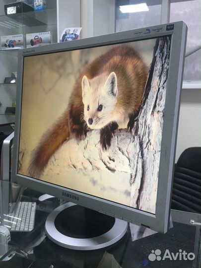 Монитор Samsung SyncMaster 913N