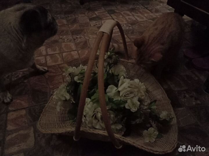 Корзина плетенная из лозы