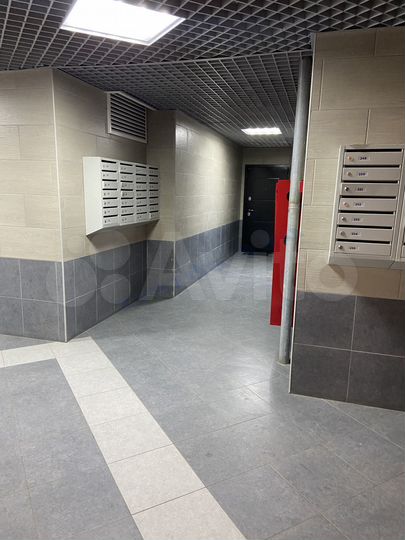 3-к. квартира, 81,2 м², 1/17 эт.