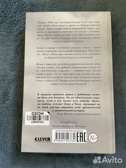 Сбежавшие сестры, Сэнди Тейлор