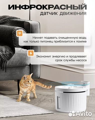 Товары для животных