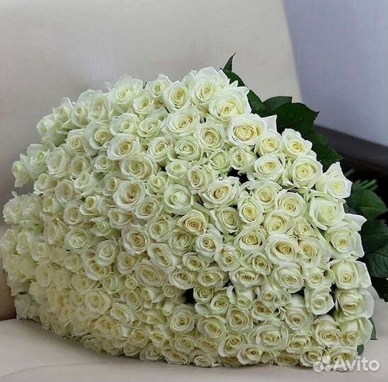 Высокие розы