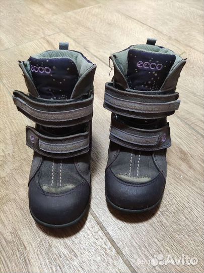 Ботинки детские зима 25 ecco