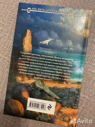 Книга Артема Каменистого