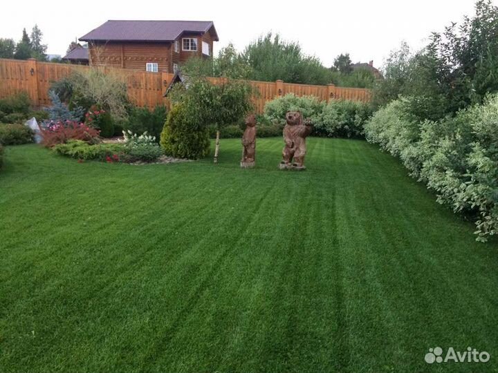Рулонный Газон. Посевной газон