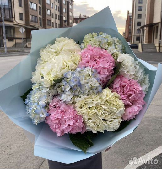 Гортензия букеты цветы доставка 24/7