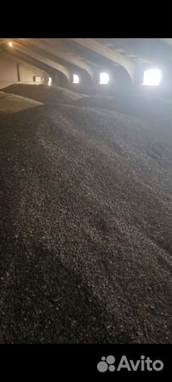 Семечки кукуруза