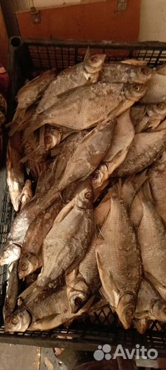 Вяленая рыба