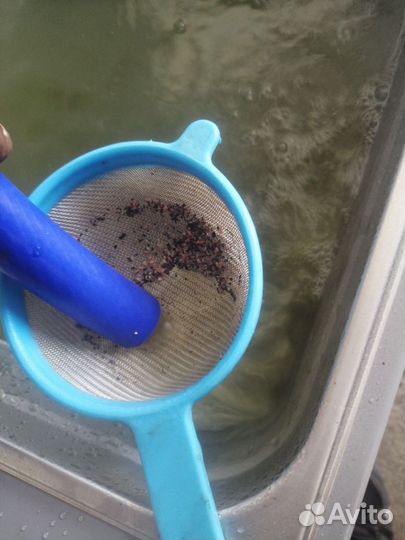 Промывка системы охлаждения автомобиля