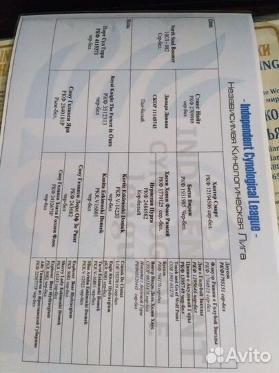 Вязка хаски