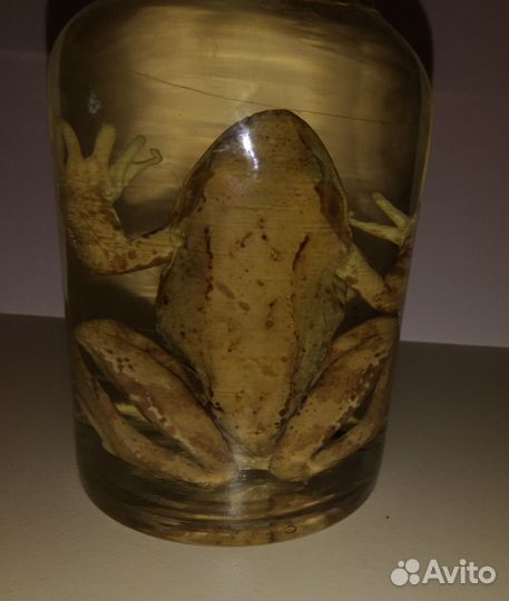 Учебное пособие 