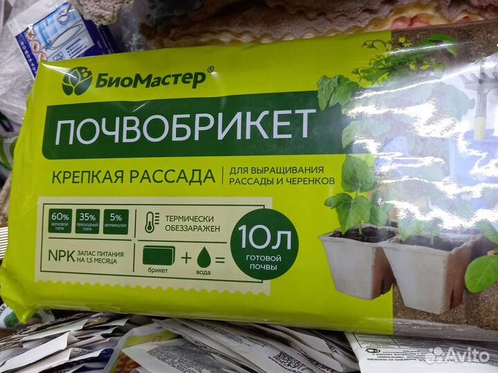 Томаты редких сортов «Сержант Пеппер ». Настенька
