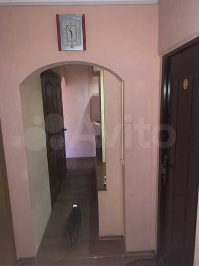 2-к. квартира, 48,2 м², 4/5 эт.